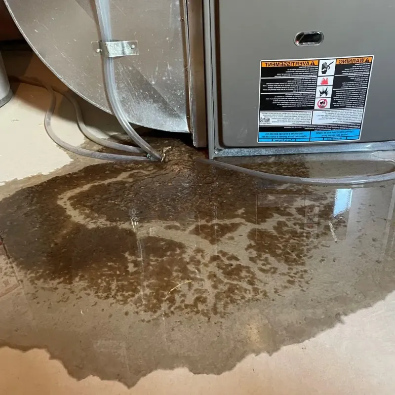 Pipe Burst and Leak Restoration in Hazelwood, MO