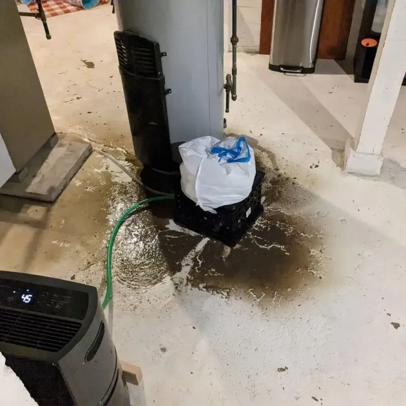 Sewage Backup Cleanup Service in Hazelwood, MO